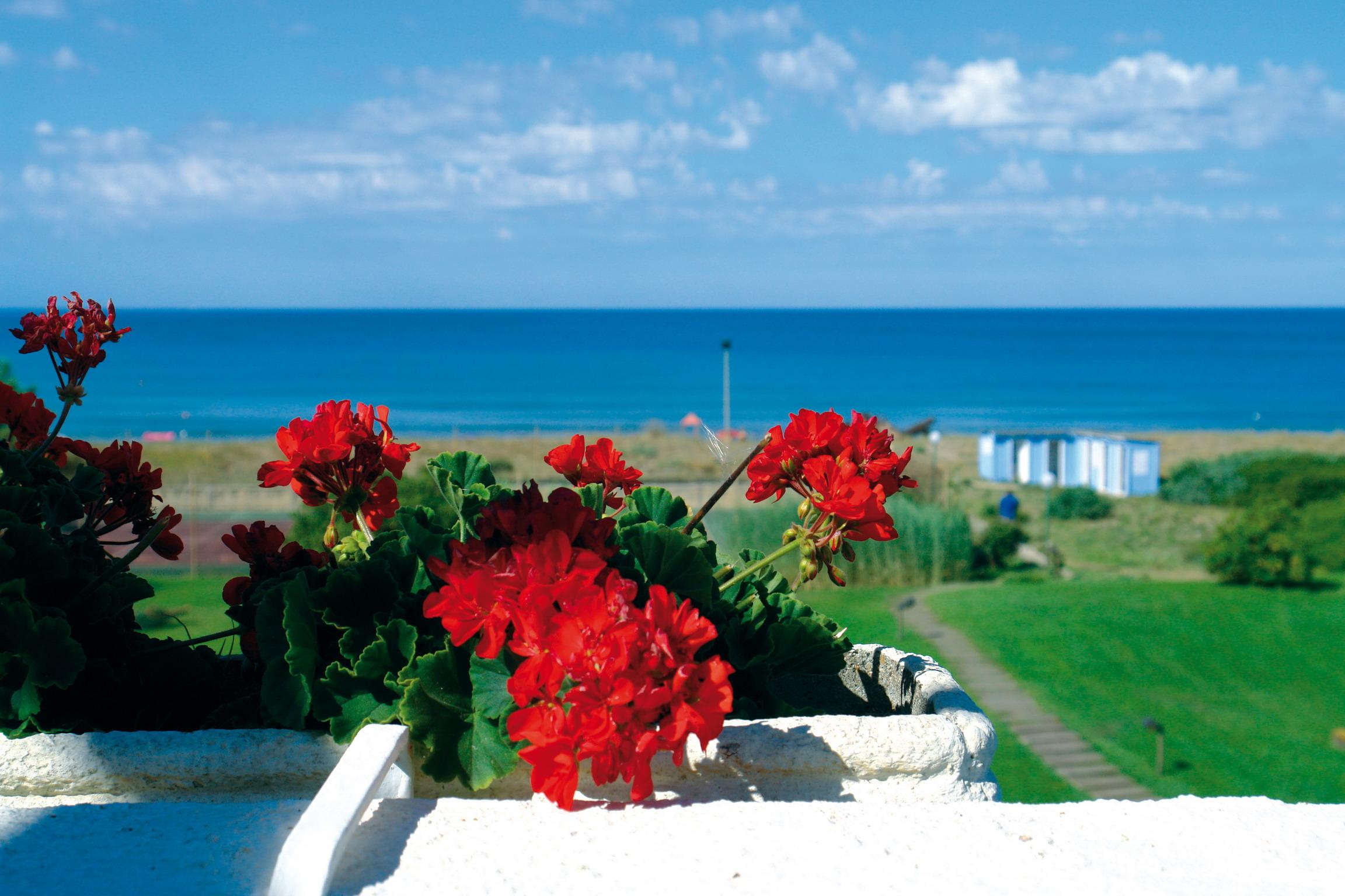 Hotel Della Baia Baia Domizia Eksteriør billede