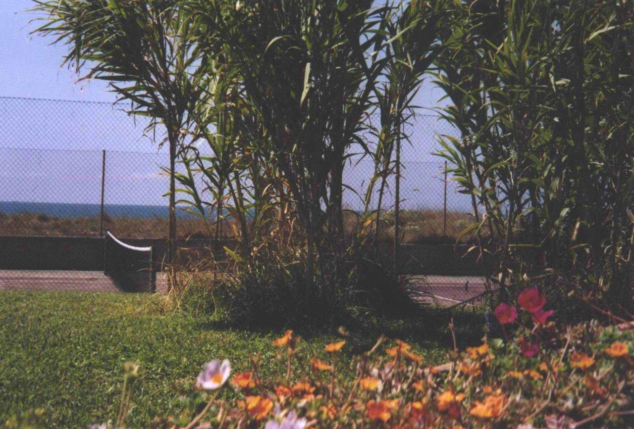 Hotel Della Baia Baia Domizia Eksteriør billede